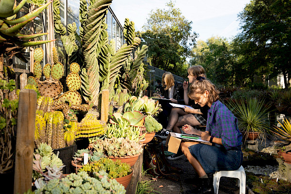 Botanisch Tekenen