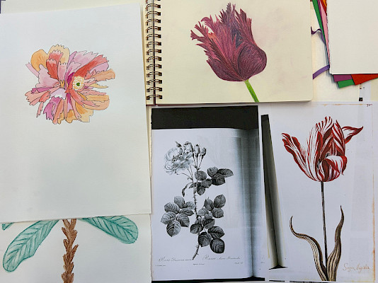 Botanisch Tekenen