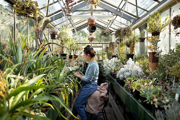 Botanisch Tekenen