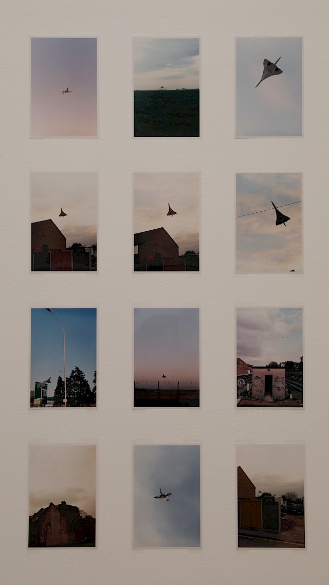 pexels-matteo-milan-14562080.jpg