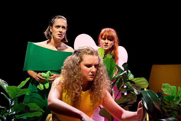 TRADWIVES de musical