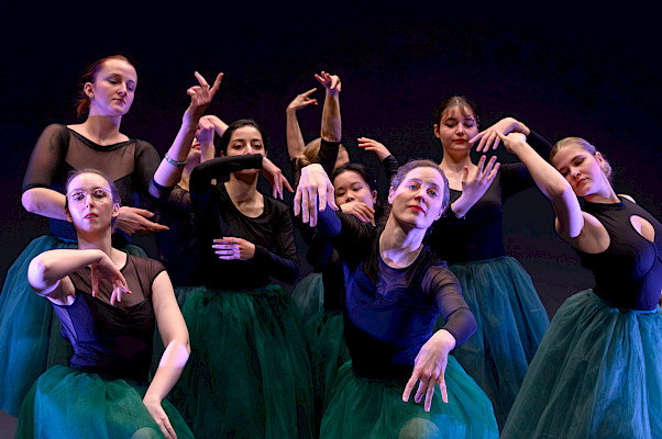 Klassiek Ballet III