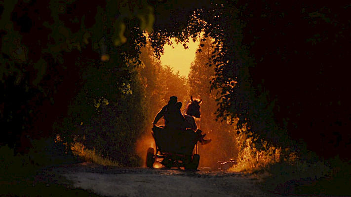 Silent Flood